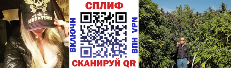 Бошки марихуана марихуана  наркота  Куртамыш 
